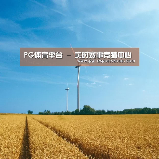 风能