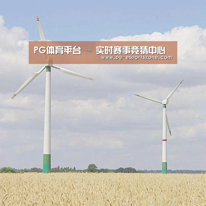 风能
