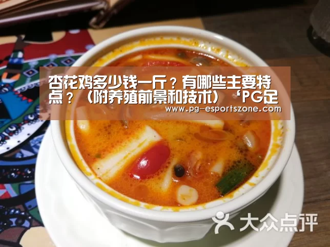 杏花鸡多少钱一斤?有哪些主要特点?(附养殖前景和技术)‘PG足球’(图1) PG足球