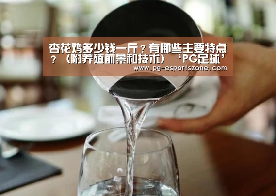 杏花鸡多少钱一斤?有哪些主要特点?(附养殖前景和技术)‘PG足球’(图3) PG体育