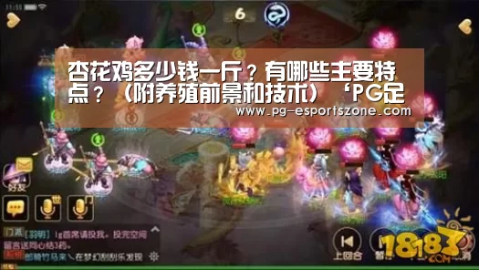 杏花鸡多少钱一斤?有哪些主要特点?(附养殖前景和技术)‘PG足球’(图2) PG足球