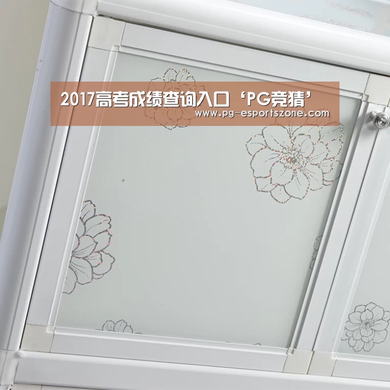 2017高考成绩查询入口‘PG竞猜’(图2) PG足球