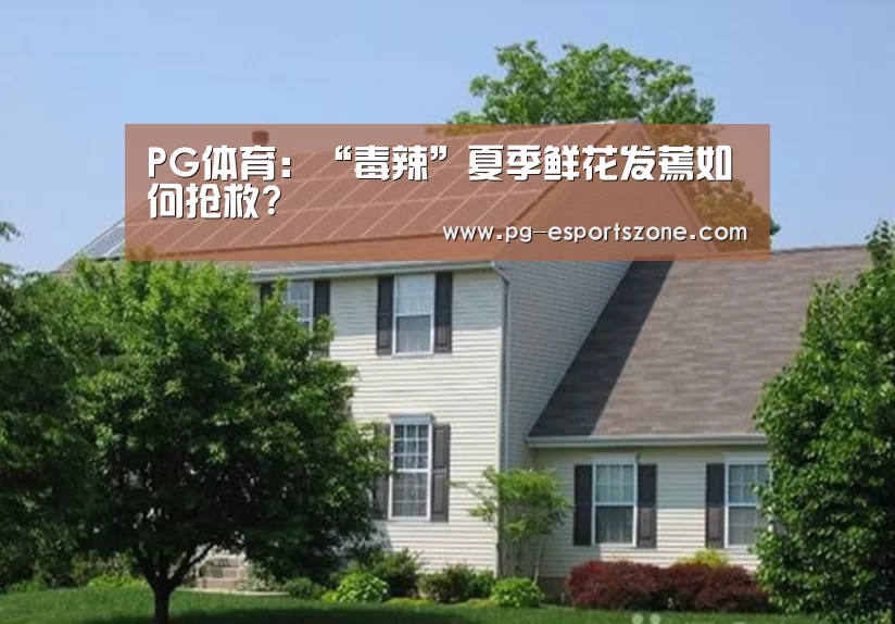 PG足球