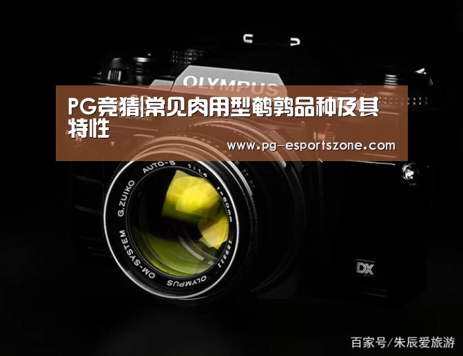 PG竞猜|常见肉用型鹌鹑品种及其特性(图3) PG足球