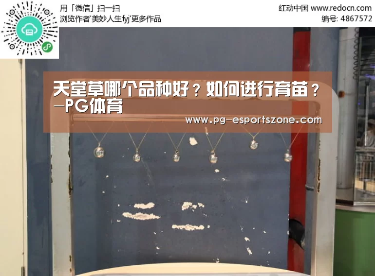 天堂草哪个品种好?如何进行育苗?-PG体育(图3) PG竞猜