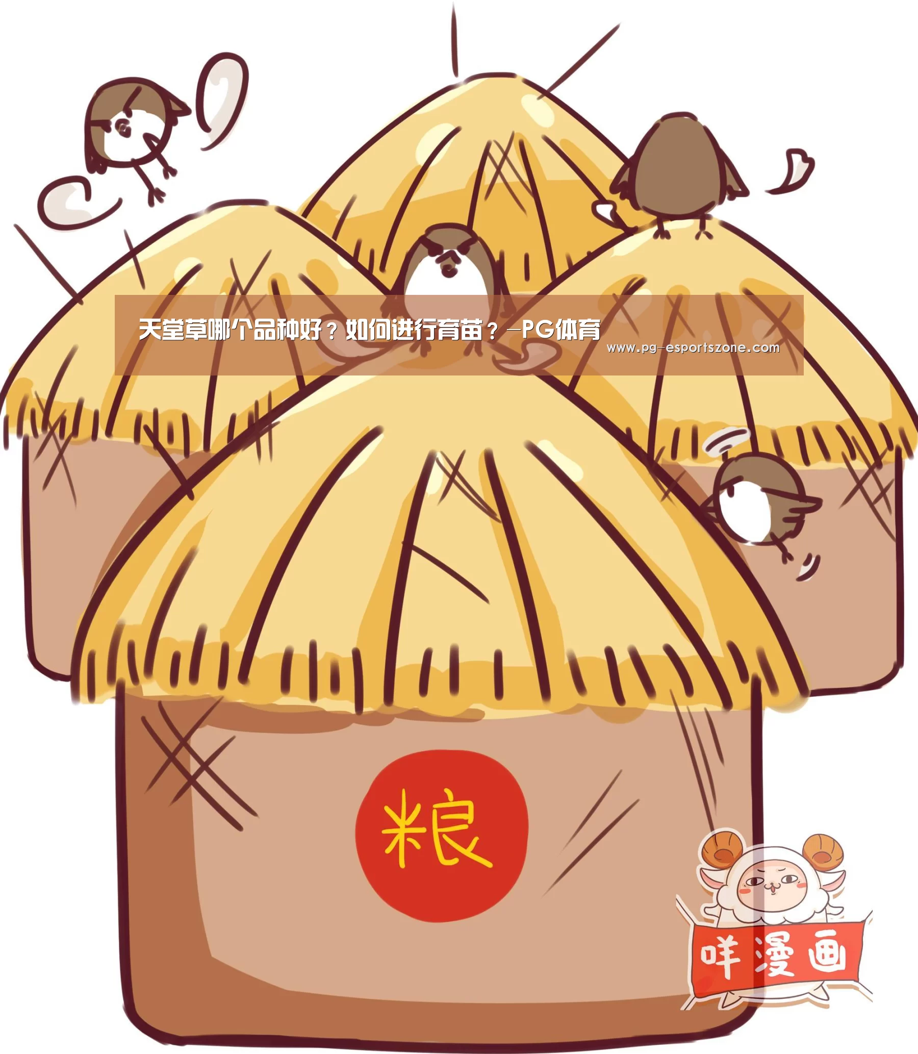 天堂草哪个品种好?如何进行育苗?-PG体育(图4) PG足球