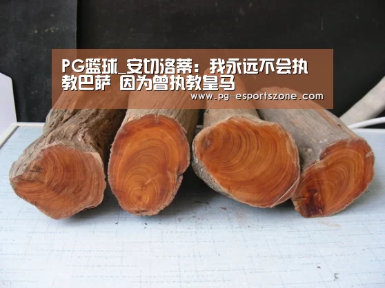 PG体育
