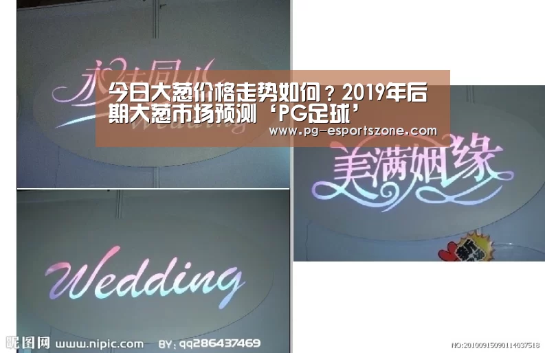 今日大葱价格走势如何?2019年后期大葱市场预测‘PG足球’(图2) PG体育