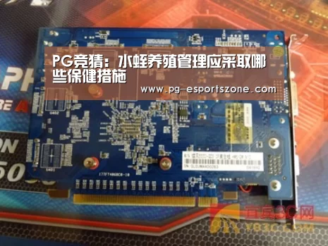 PG竞猜:水蛭养殖管理应采取哪些保健措施(图2) PG竞猜