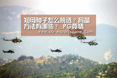 知母种子怎么挑选?育苗方法有哪些?_PG竞猜(图2) PG足球