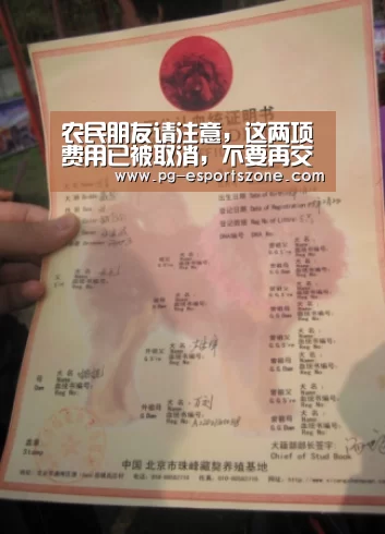 PG足球